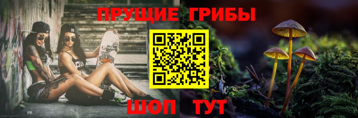 дарнет шоп  Урай  Галлюциногенные грибы GOLDEN TEACHER 